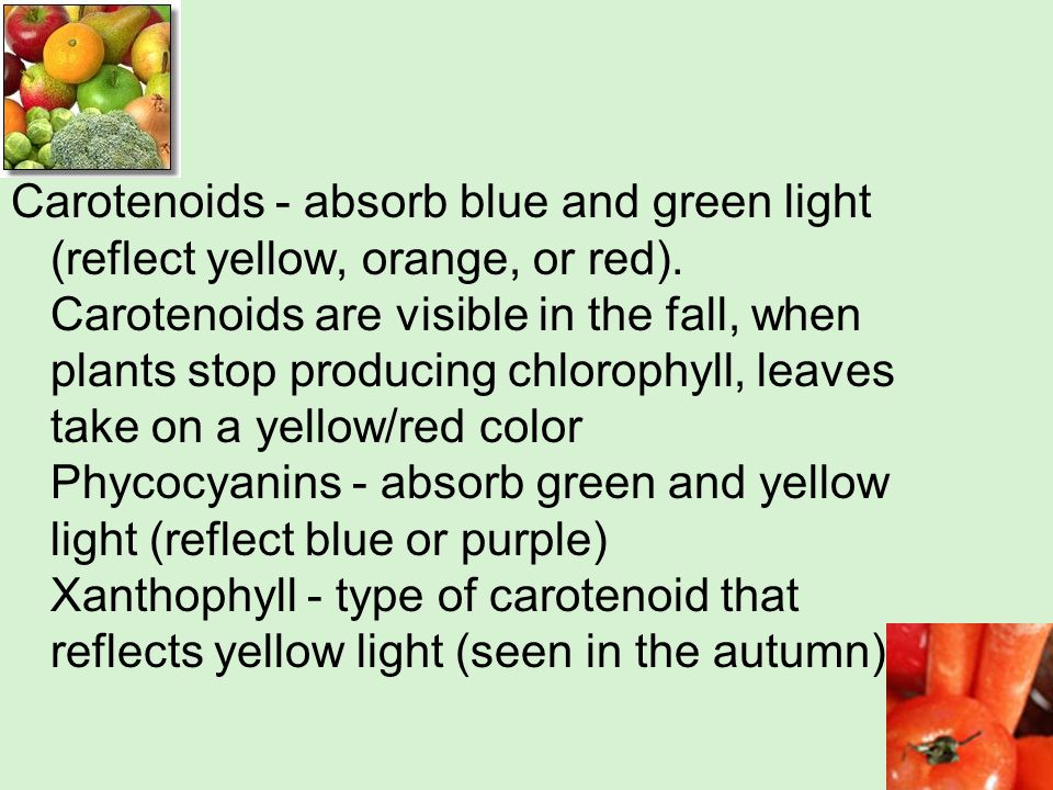 Photosynthesis and yellow light